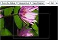 Ajax Image Editor Using PHP - AJAX Script