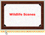 Frame-It