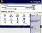 WebFileManager